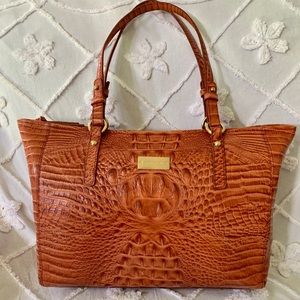 Brahmin The Asher medium